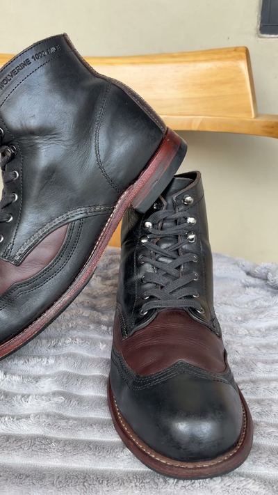 Wolverine 1000Mile Addison